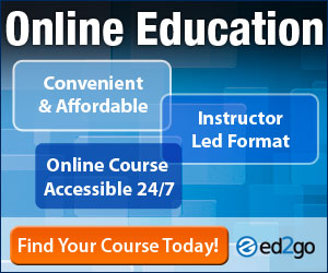 300x250-online-edu